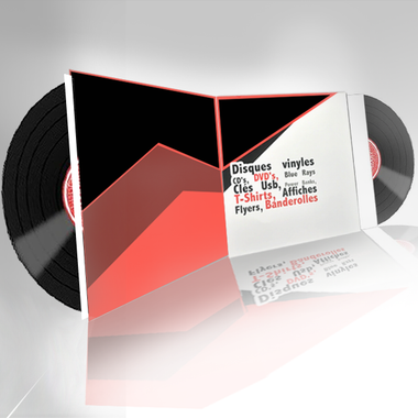 Double disque vinyle 140G - 33 tours (LP) Album Collector (Double Gatefold) - Pressage-cd.com