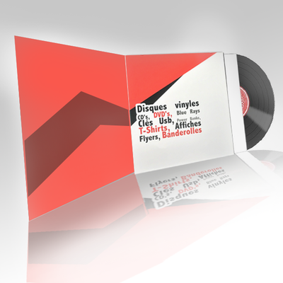 Disque vinyle 140G - 33 tours (LP) Album Collector (Gatefold) - Pressage-cd.com